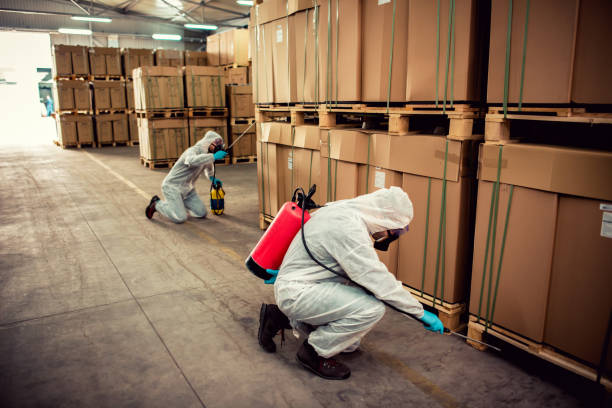 Best Residential Pest Control  in Herculaneum, MO