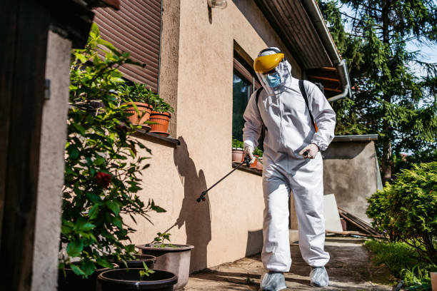 Best Flea Control Services  in Herculaneum, MO