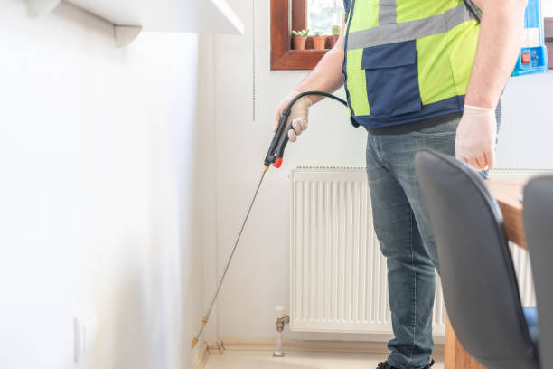 Best Termite Control Services  in Herculaneum, MO